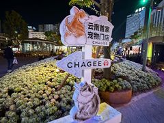-南屏步行街