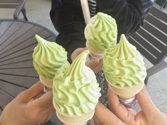 -君乐宝优致牧场