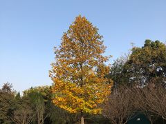 -钟山体育运动公园