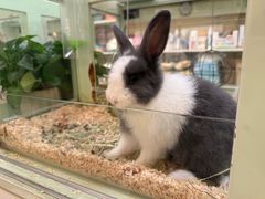 -龙猫仔乐园(惠福东路店)