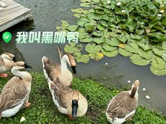-苏州上方山国家森林公园