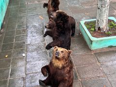 -西霞口神雕山野生动物世界