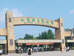 -北京野生动物园