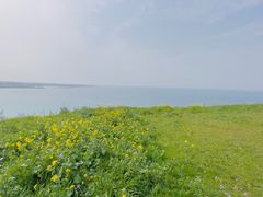 -咸德海水浴场