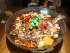 -吴星星毛血旺烤鱼
