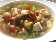 臭豆腐烩青头菌-伊天园(辛伯达店)