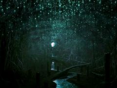 -怀托摩萤火虫洞