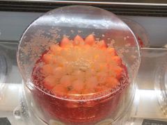 花火蛋糕冰淇淋-哈根达斯(万象汇店)