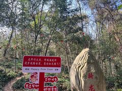 -上海佘山国家森林公园天马山园