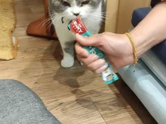 -解忧集市(北京路天河城店)