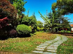 -上海长兴岛郊野公园