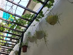 -边渡咖啡烘焙店(昙华林店)
