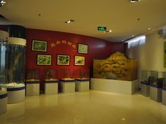 内景-上海昆虫博物馆