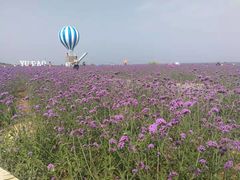 -渔岛海洋度假区