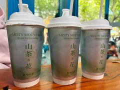 -雾与山茶(大禹城店)
