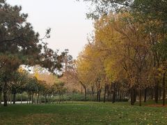 -北坞公园