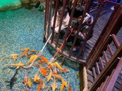 -酷嗒动物文化乐园(cutezoo西溪乐天城店)