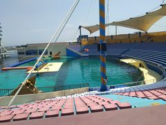 -秦皇岛乐岛海洋王国