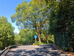 -平湖九龙山旅游度假区