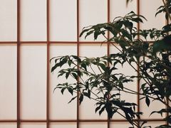 -町家Machiya(泰府·名邸店)