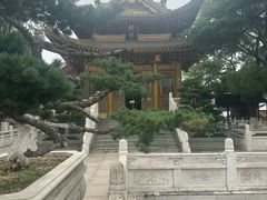 -上海东林寺(金山区)