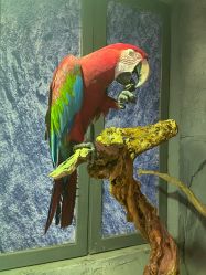 -Zoolung Zoolung动物主题公园(海信广场店)