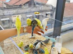 -怪兽屋·羊驼·猫咖·狗咖(俊华广场店)