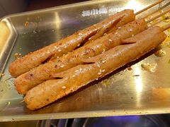 -杨小佳·齐齐哈尔烤肉·烤串(广州店)