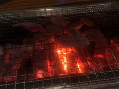 -柿子树炭烤羊腿(金台路店)
