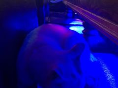 -星宿秘码(鼓浪屿老店)