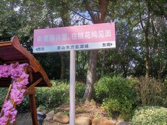 -茅山东方盐湖城景区