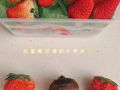 -PAGODA百果园(华发世纪城店)