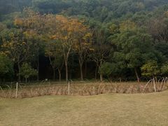 -黄公望隐居地