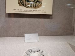 -南越王博物院(王宫展区)