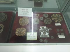 -北京中医药大学-中医药博物馆