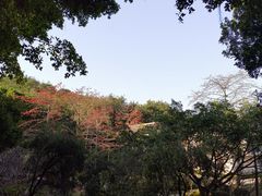 -广州雕塑公园