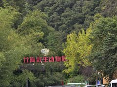 -栾川竹海野生动物园