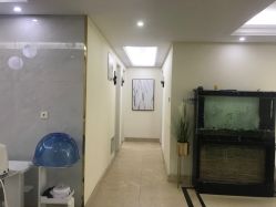 -VE专注问题肌·赛诺龙&科学美肤中心