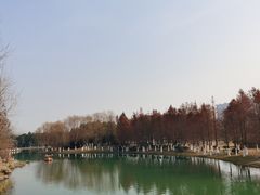 -滨湖塘西河公园