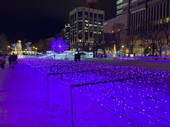 -札幌电视塔