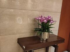 -北京朝阳悠唐皇冠假日酒店