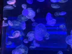 -泉城欧乐堡海洋极地世界
