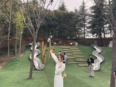 -洛阳郁金香牡丹园