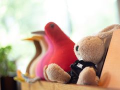 -彼芝奇比萨(红坊店)