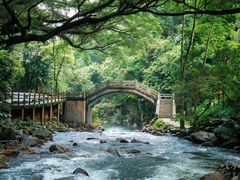 -广州市石门国家森林公园