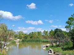 -春花秋色城市公园