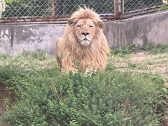 -石家庄市动物园