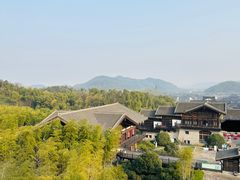 -大唐贡茶院