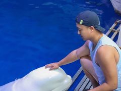 -秦皇岛乐岛海洋王国