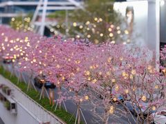 -深圳湾万象城(南山店)